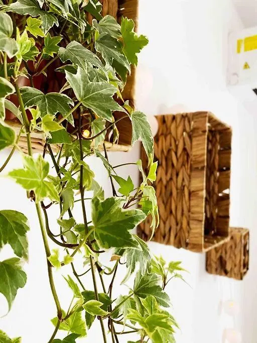 Cozy Flat Right Next To Bucharest'S Central Park România